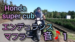 Honda Super Cub 110 エンデュランス マフラー音！1