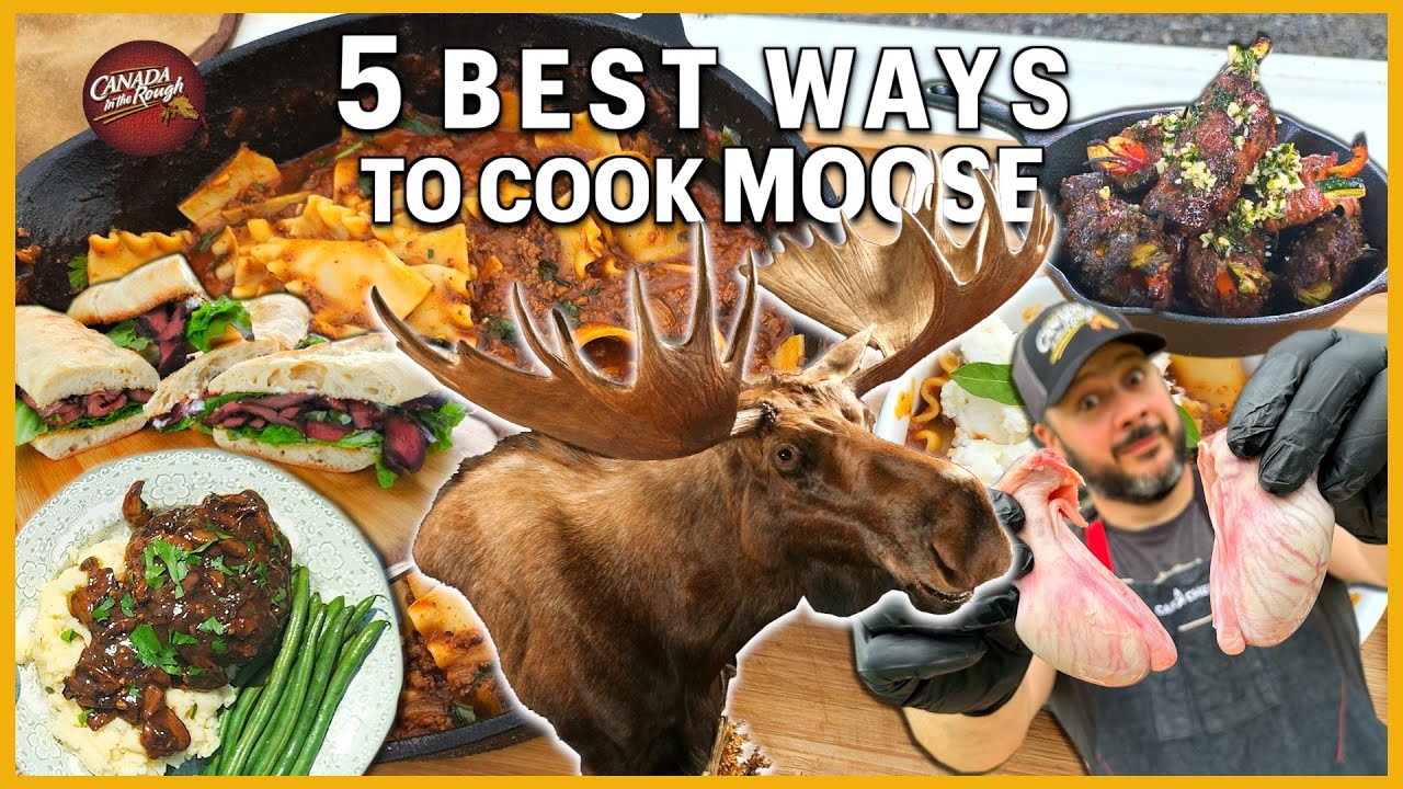 The 5 Best Ways to Cook Moose | Rough Cooking Recipe (HOW TO ...