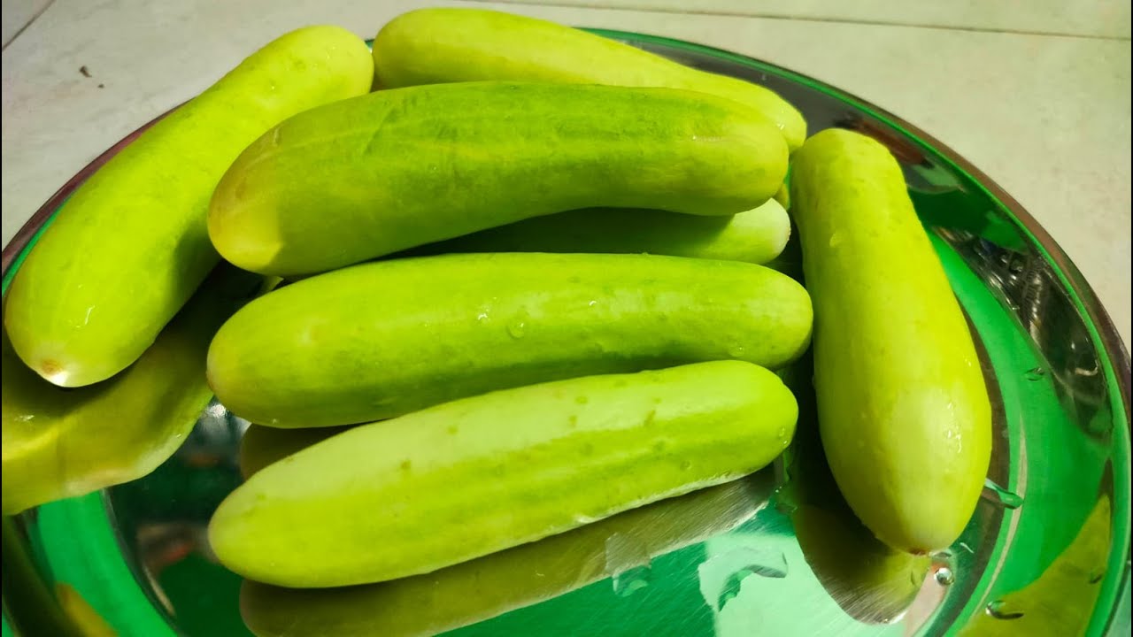 काकडी । हिरवी गावठी काकडी कडू असेल तर कडूपणा कसा दूर करावा Tricks