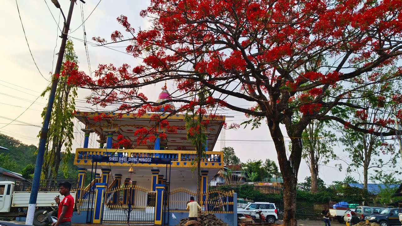 Haflong Sarkari Bagan Shani mandir 🙏 #haflong