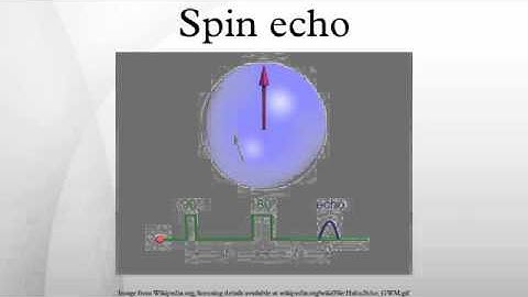 Spin echo