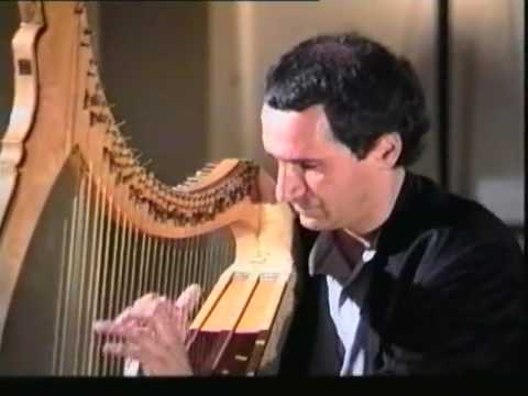 Stefano Corsi Concerto per Arpa celtica parte2
