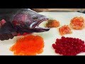 EASY SIMPLE Egg Curing for Salmon & Steelhead Bait + Catching Fishing on the Results!