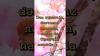 Allah Dua Və Namazlarınızı Qəbul Etsin