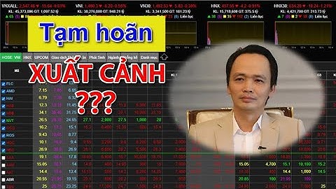 Tại sao tỉ phú Trịnh Văn Quyết, Chủ tịch Tập đoàn FLC bị tạm hoãn xuất cảnh?| CAFELAND