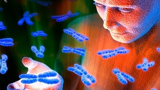 Genetics Practice Problems