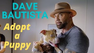 Dave Bautista has adopted a Puppy | his name is Penny Bautista