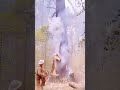 High-altitude logging #satisfying #oddlysatisfying #asmr... #Shorts #michael.katouzi