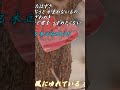 北風の中/松山千春『木枯しに抱かれて(1980年)』(Kitakaze no Naka [In the north wind]/ Chiharu Matsuyama)#松山千春 #shorts
