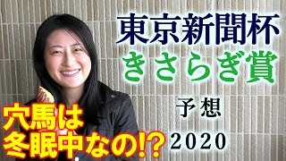 【競馬】東京新聞杯 きさらぎ賞 2020 予想（佐賀記念はブログで予想します） ヨーコヨソー