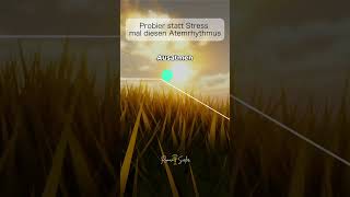Sanfte Atemübung zum Runterkommen #breathwork #nervensystem #atemtechnik