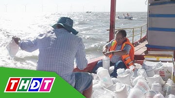 Bạc Liêu: Thả 4,7 triệu con tôm giống tái tạo nguồn lợi thủy sản | THDT