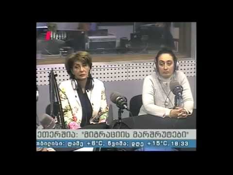 \"მიგრაციის მარშუტები\"  02.04.15 კვალიფიციური ემიგრანტების დროებითი დაბრუნება სამშობლოში