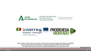 Video explicativo documental de las Dehesas y el Montado