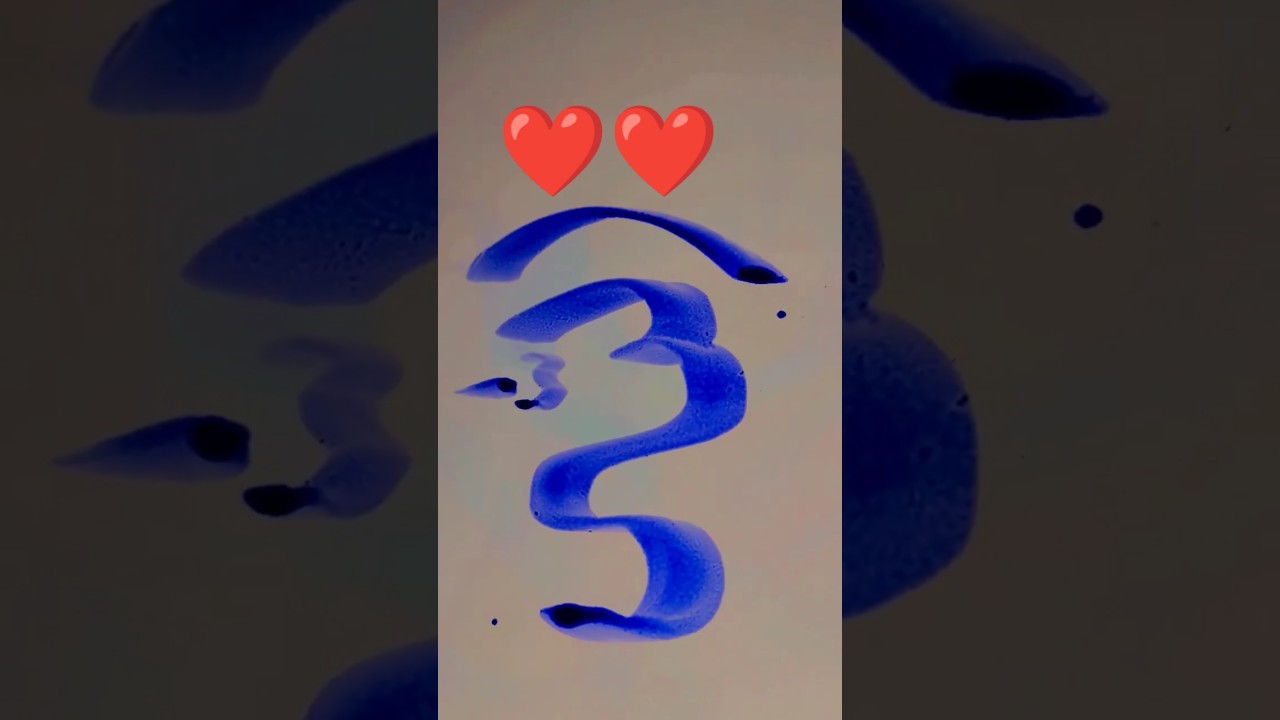 Modern Arabic Calligraphy  madina live #naatsharif #makkah #madina#short #hajjlive#shortvideo#macca