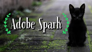 How To Use Adobe Spark! ( Part 1 )