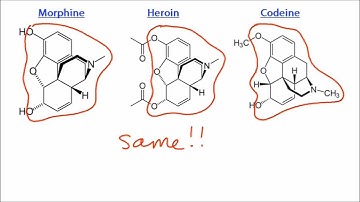 D3 Comparison of the structures of morphine, codeine and diamorphine (heroin) [SL IB Chemistry]