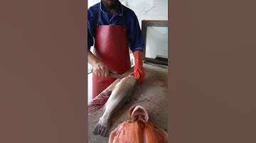 Quick Fish Filleting Technique You Must Try