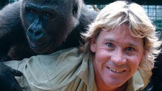 The Untold Truth Of Steve Irwin