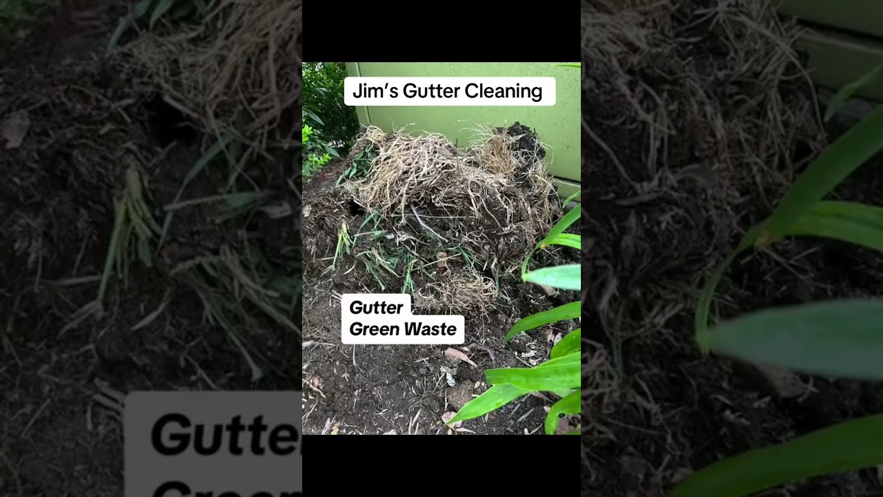 How to clean gutters? #jimsmowing #gutters #guttercleaning