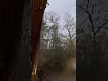 Dropping a big Oak Tree with a Winch 🪾