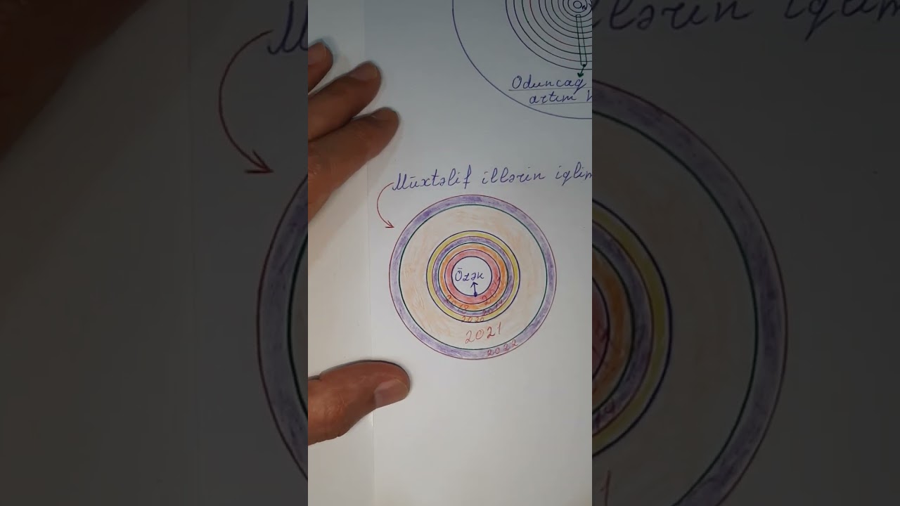 Gövdə nin daxili quruluşu. İllik artım halqaları. Biologiya öyrənək, öyrənməyi öyrənək.055 246 10 82