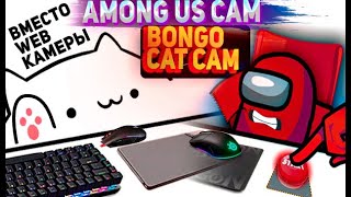 Bongo cat cam bongo {🔴} among us cam как поставить кот бонго в обс,  полностью настроить свой among