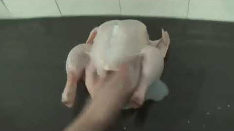 How To Basic Up to faster 1 Parison