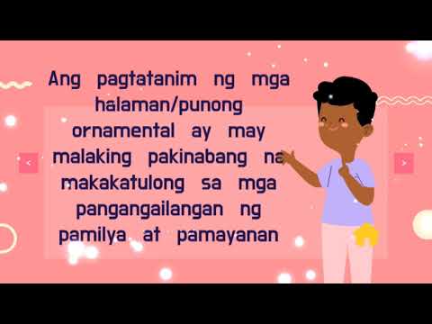 Anu Ano Ang Mga Pakinabang Na Dulot Ng Halamang Ornamental - ang banggitin