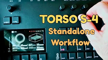 I Tapped the Case and Made a Track: Torso S-4 v2