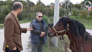 „Prodao mi ofarbanog konja i hvali se kako me prevario“