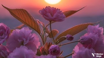 إن شر الدواب عند الله الربع الثامن من الجزء التاسع من سورة الأنفال الحصري المعلم للقران الكريم 🌿