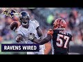 Ravens Wired at Cincinnati: This Ain't No Letdown