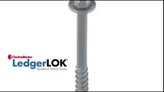 Ledgerlok - Now With Flat Head And Torx Ttap