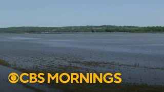 Historic flooding in Midwest damages farms, leading to concerns over food prices impact