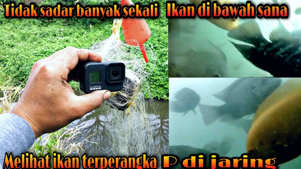 MELIHAT LANGSUNG BAGAIMANA IKAN TERPERANGKAP DI PANCING JARING DENGAN CAMERA ANTI AIR