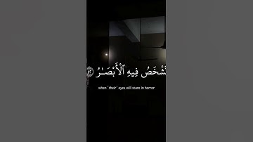 سورة إبراهيم الشيخ عبد الرحمن مسعد