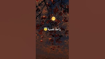 اكتب شيء تؤجر عليه يوم القيامة 😴❤️ #آيات_الرحمة #اللهم_صل_على_محمد_وال_محمد #المصحف #اكسبلور