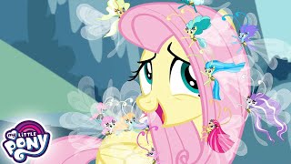 : My Little Pony:         | MLP FIM -