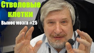 Стволовые клетки. Сергей Савельев (Вынос мозга #25) Стволовые клетки. Сергей Савельев (Вынос мозга #25)