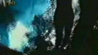 Version 3 of the video