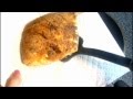 Pomfret Fry (Fish Fry)