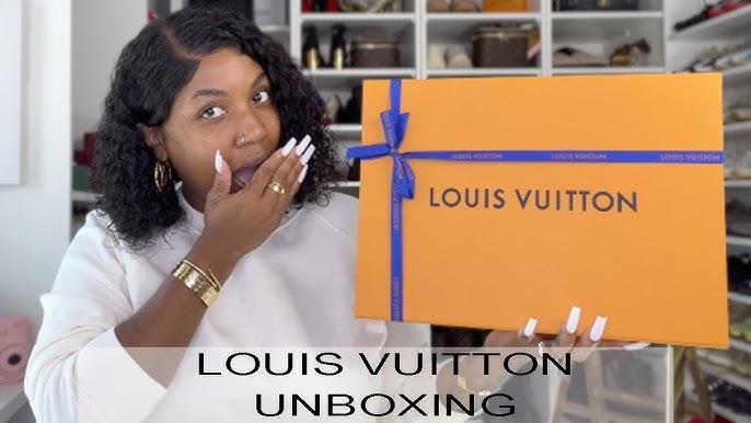 NEW 🎉 LOUIS VUITTON LOOP HOBO GM UNBOXING