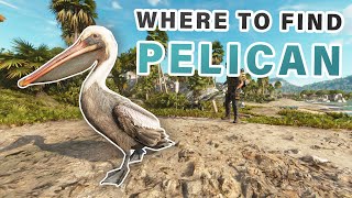 How and WHERE to Feed the Pelicans ► Far Cry 6