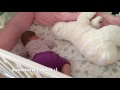 How to put baby to sleep - Daddy way