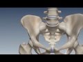 SI Joint Anatomy, Biomechanics & Prevalence