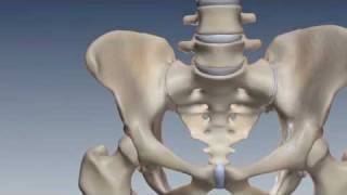 SI Joint Anatomy, Biomechanics & Prevalence