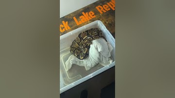 Removing a stuck eye cap