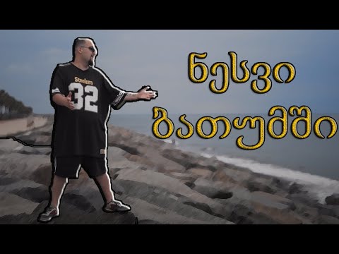 ნესვი ბათუმში - როგორია TSL ჰაუსი?!