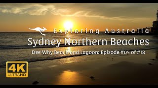 Sydney Northern Beaches: Dee Why Beach and Lagoon | Episode 05 | MTS Drones